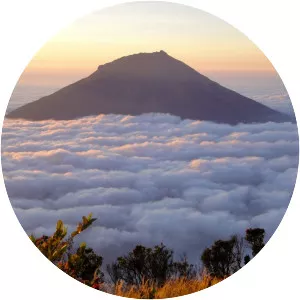 Mount Sundoro - Stratovolcano in Indonesia