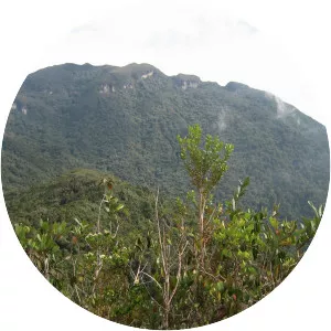 Mount Tahan - Mountain in Malaysia