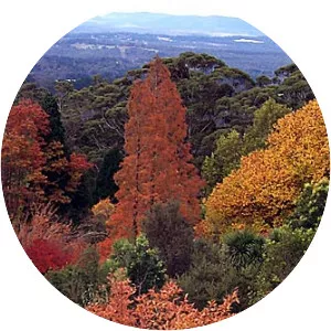 Mount Tomah