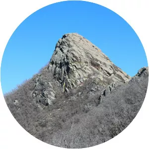 Mount Turnbull - Arizona