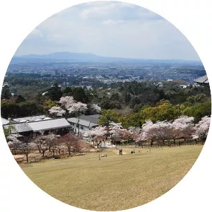 Mount Wakakusa - Hill in Japan
