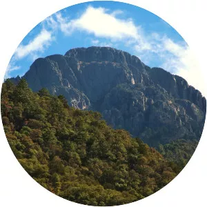 Mount Wrightson - Peak in Arizona