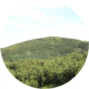 Mountain Chorna Kleva