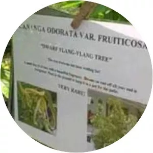 Mounts Botanical Garden - 