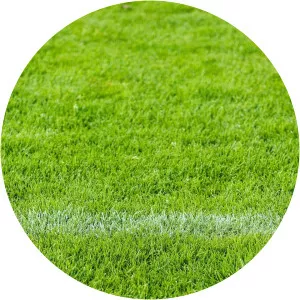 Mourinho & Manchester, United - TV program