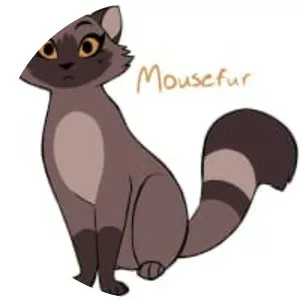 Mousefur photograph