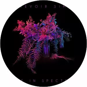 Move in Spectrums - Studio album by Au Revoir Simone