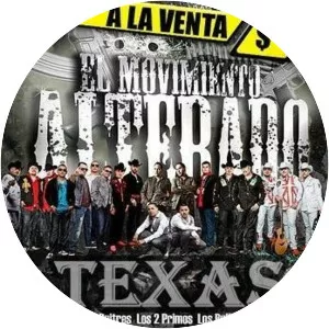 Movimento Alterado - Musical artist