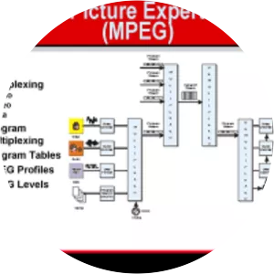 Moving Picture Experts Group