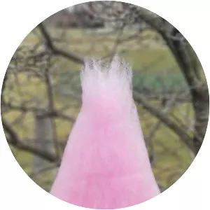 Moxie Dewdrop - Fictional character