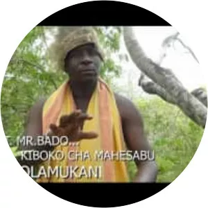 Mr Bado - Musical artist