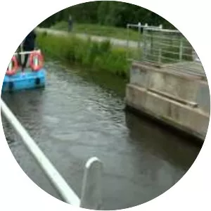 Mr Bloom: Here and There