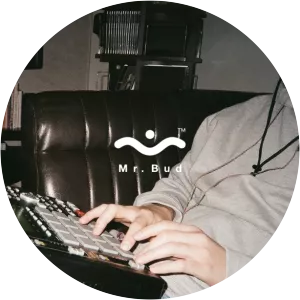 Mr Bud - Musical artist