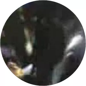 Mr. Grayson - Fictional character