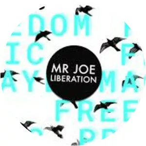 Mr Joe