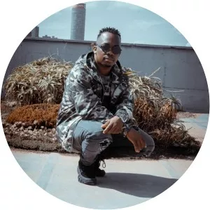 Mr Luu - Musical artist