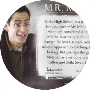 Mr. Molina - Fictional character