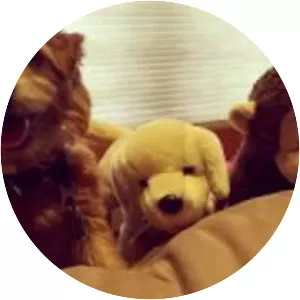 Mr. Pimms - Movie character