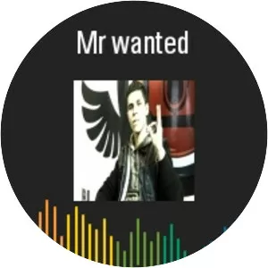 Mr Wanted