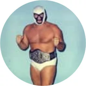 Mr. Wrestling II
