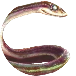 Mrs. Plithiver - Fictional character