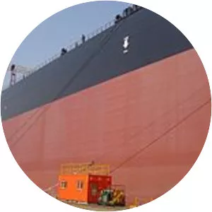 MS Ore Brasil - Valemax