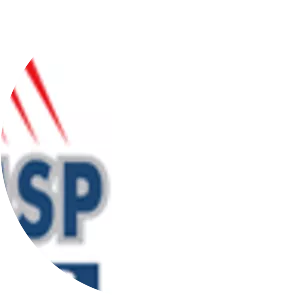 Msp Steel & Power Ltd