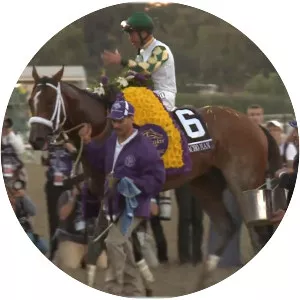 Mucho Macho Man