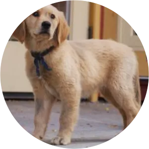 Mudbud - Fictional character