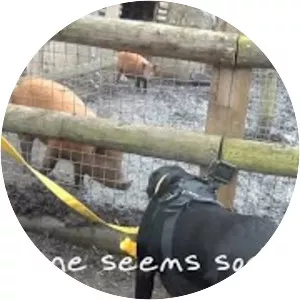 Mudchute Park and Farm