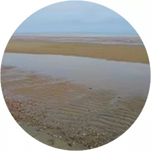 Mudflat