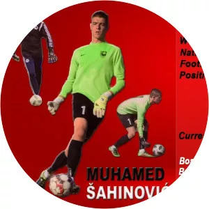Muhamed Šahinović - Football player