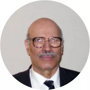 Muhammad Abdel-Haleem - Professor