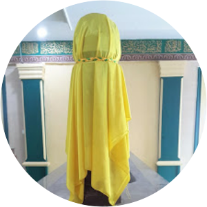 Muhammad Ali dari Siak