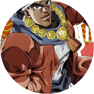 Muhammad Avdol - Fictional character