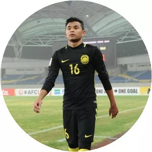 Danial Amier Norhisham