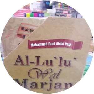 Muhammad Fuad Abdul Baqi