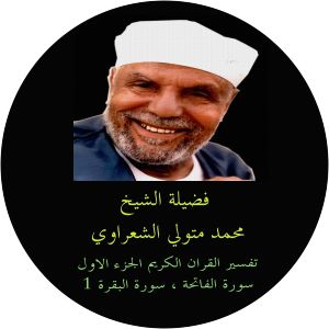 Muhammad Metwalli al-Sha'rawi - Scholar