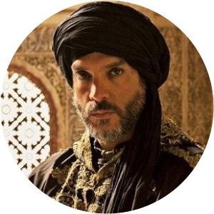 Muhammad V of Granada