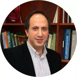 Muhammed A. Yıldırım