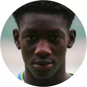 Muhammed Cham Saračević