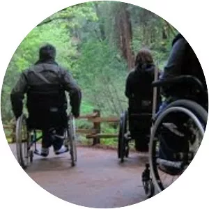 Muir Woods National Monument - 