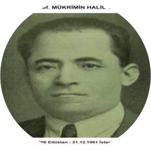 Mükrimin Halil Yinanç - Author
