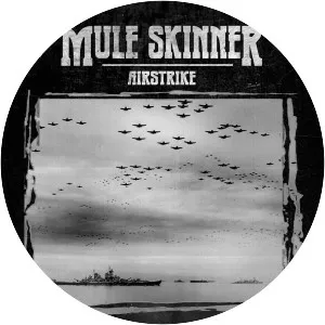Mule Skinner - Musical group