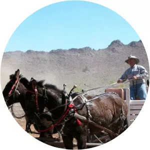 Mule Training - TV program