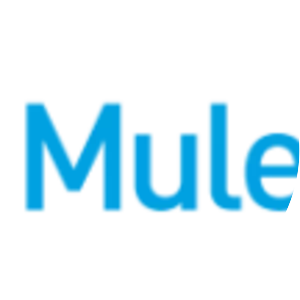 MuleSoft - Software company