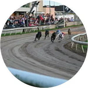 Mullingar Greyhound Stadium