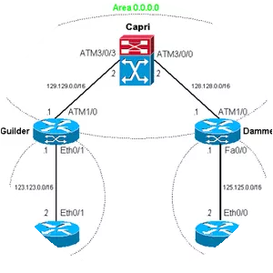 Multiprotocol Label Switching - Protocol