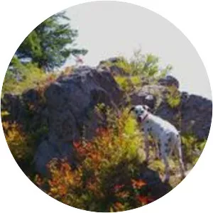 Multorpor Mountain - 