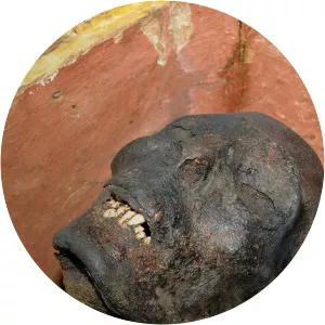 Mummy ForensicsSince 2008